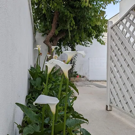 Scirocco Apartment *